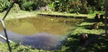 Rural / Chácara à venda em São Benedito, Monteiro Lobato. A.T. 3.500m²