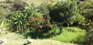 Rural / Chácara à venda em São Benedito, Monteiro Lobato. A.T. 3.500m²