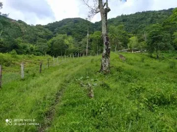 Sítio à venda no Bairro Água Soca em São José dos Campos